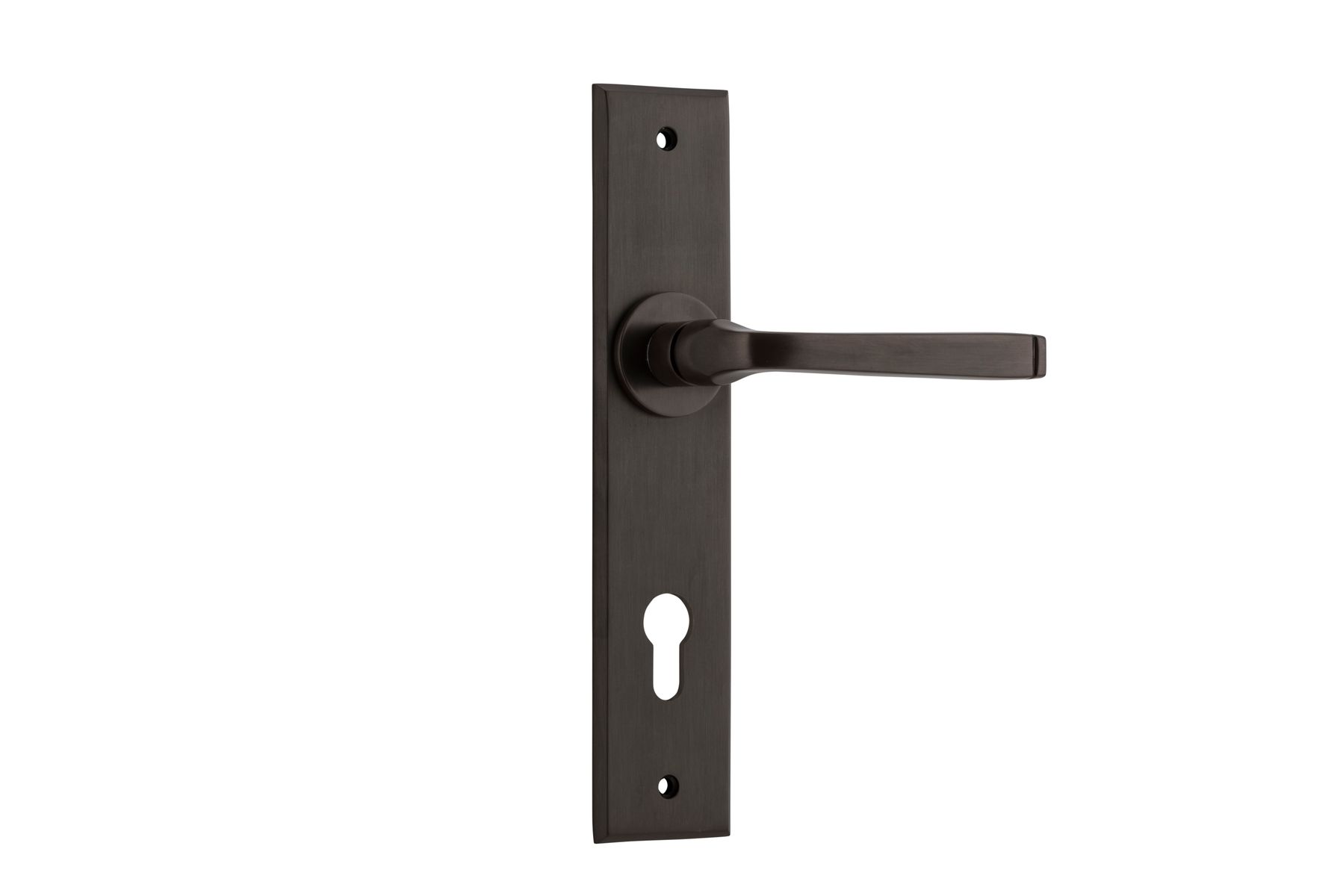 10788E85 - Annecy Lever - Chamfered Backplate - Signature Brass - Entrance