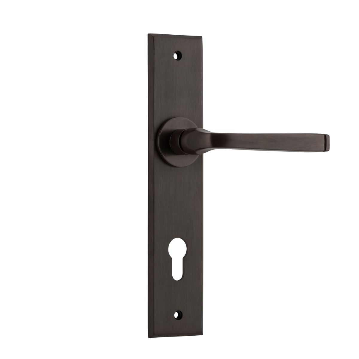 10788E85 - Annecy Lever - Chamfered Backplate - Signature Brass - Entrance
