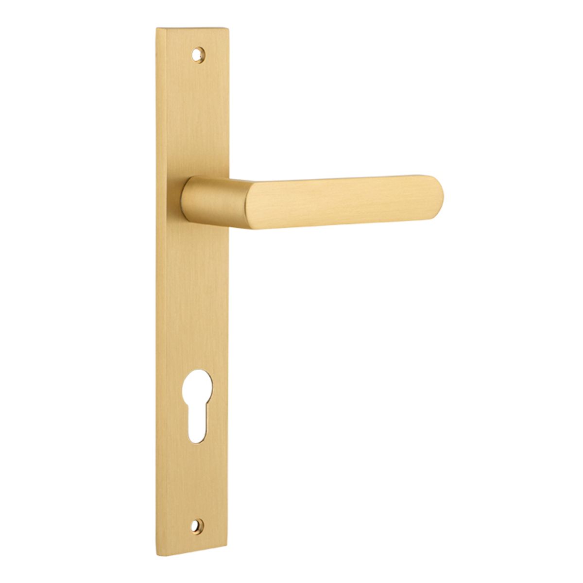 16360E85 - Osaka Lever - Rectangular Backplate - Brushed Gold PVD - Entrance