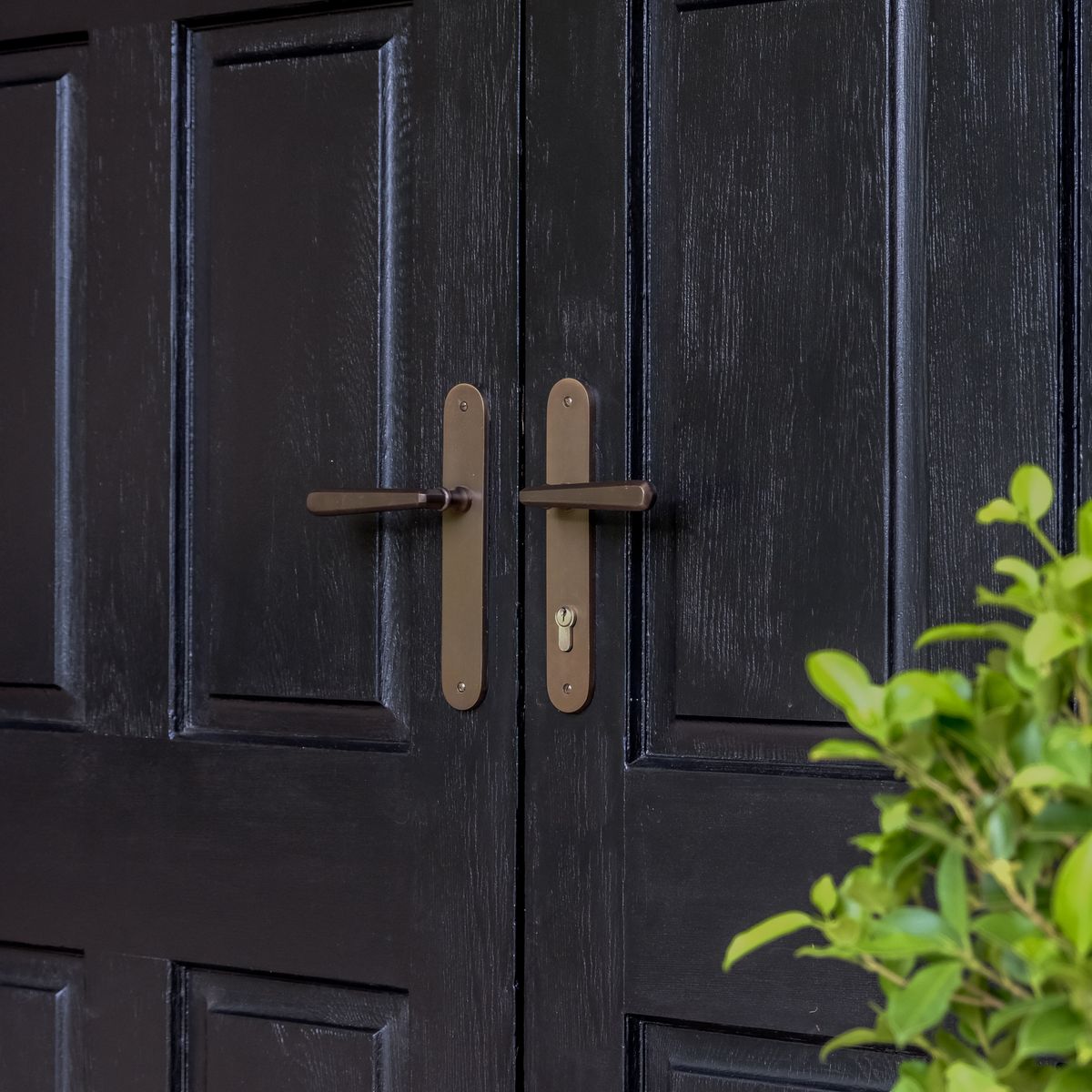 10876E85 - Copenhagen Lever - Oval Backplate - Signature Brass - Entrance
