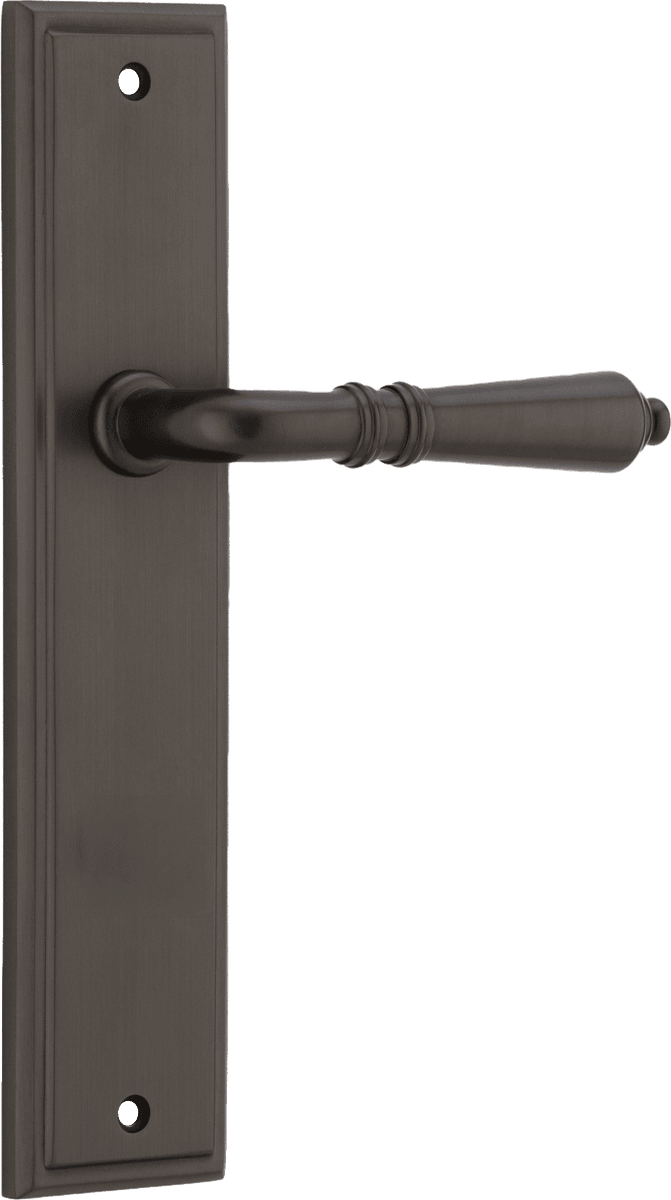 10736 - Sarlat Lever - Stepped Backplate - Signature Brass - Passage