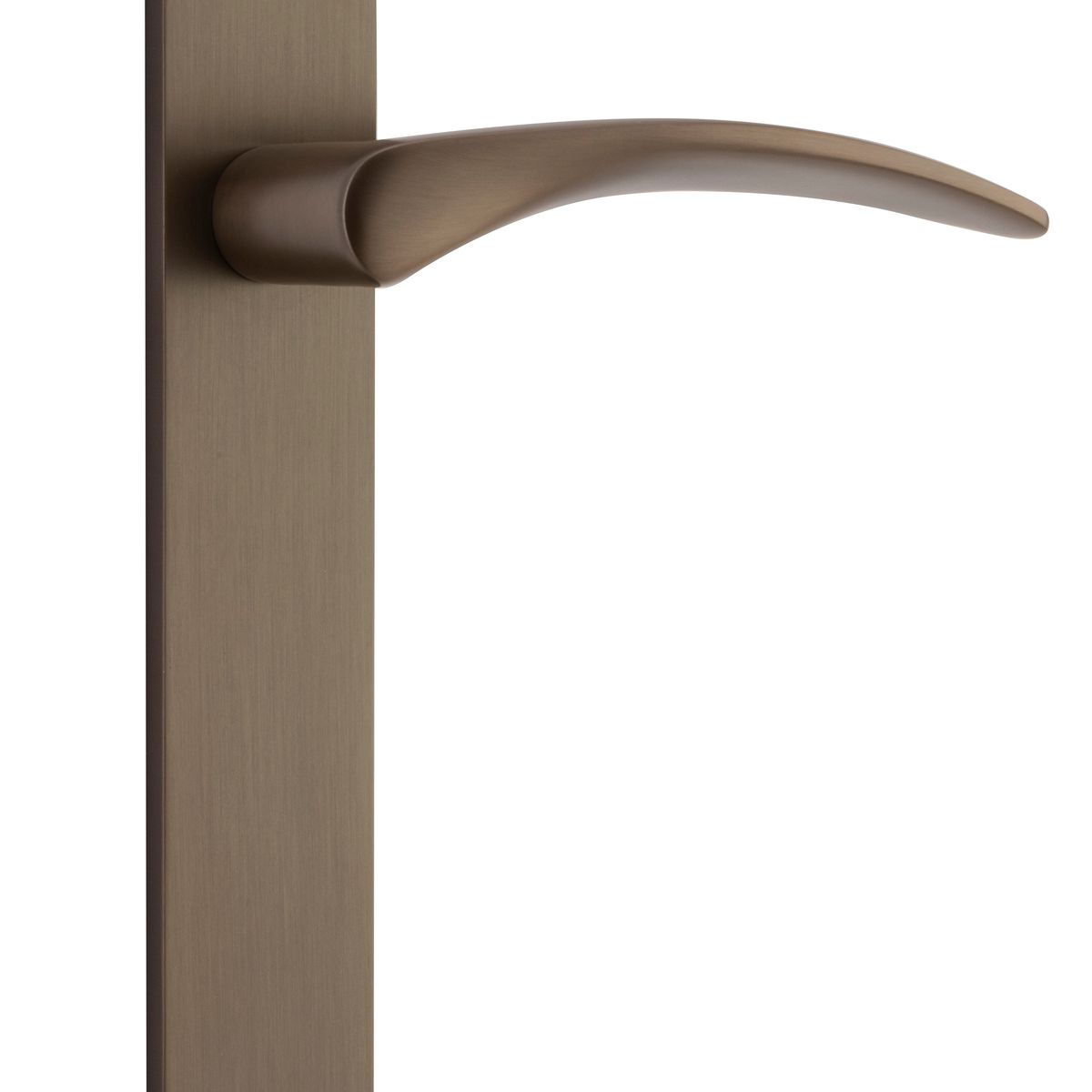 10704 - Oxford Lever - Rectangular Backplate - Signature Brass - Passage