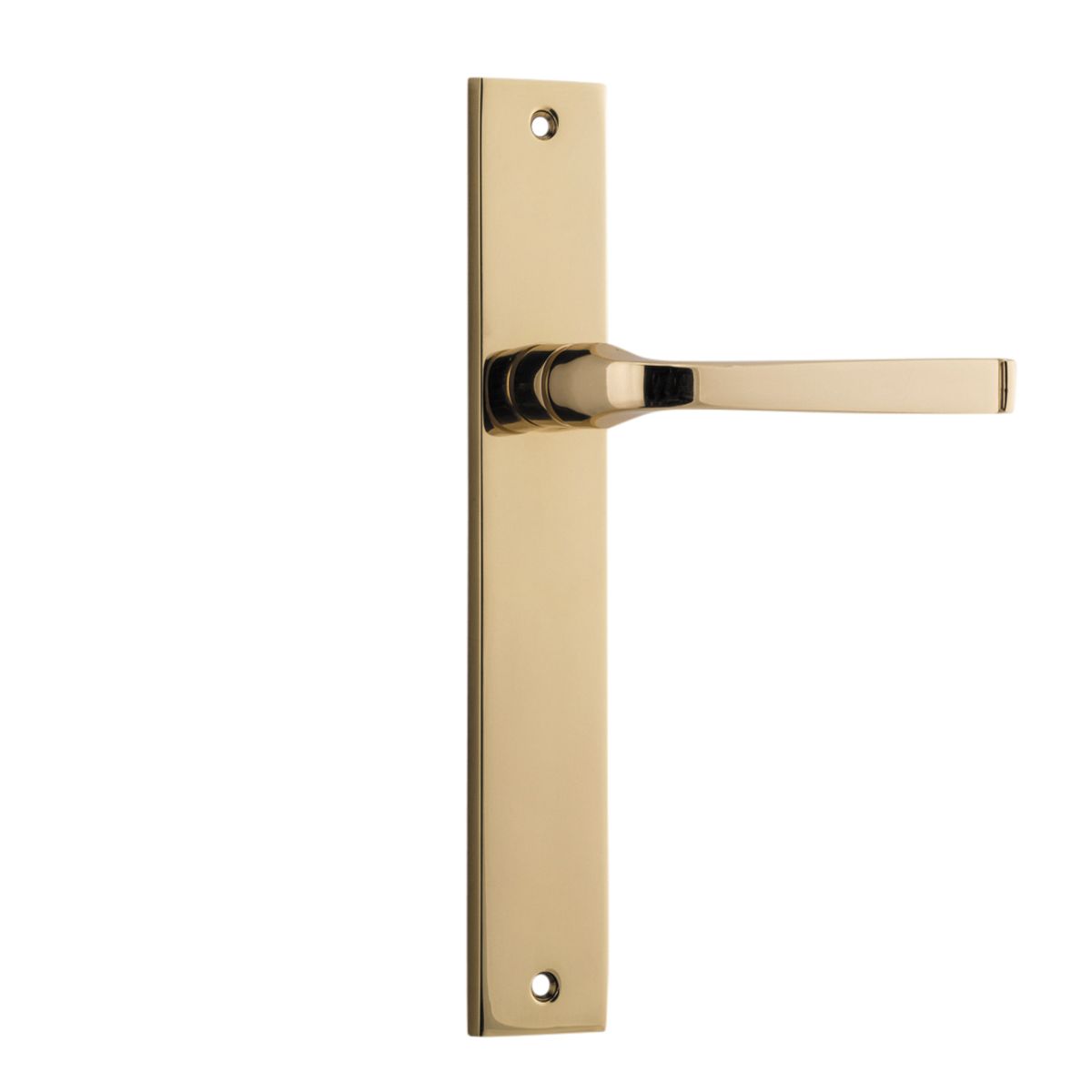 10208 - Annecy Lever - Rectangular Backplate - Polished Brass - Passage