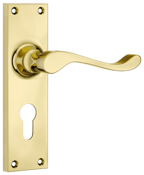 Victorian Lever - Long Backplate