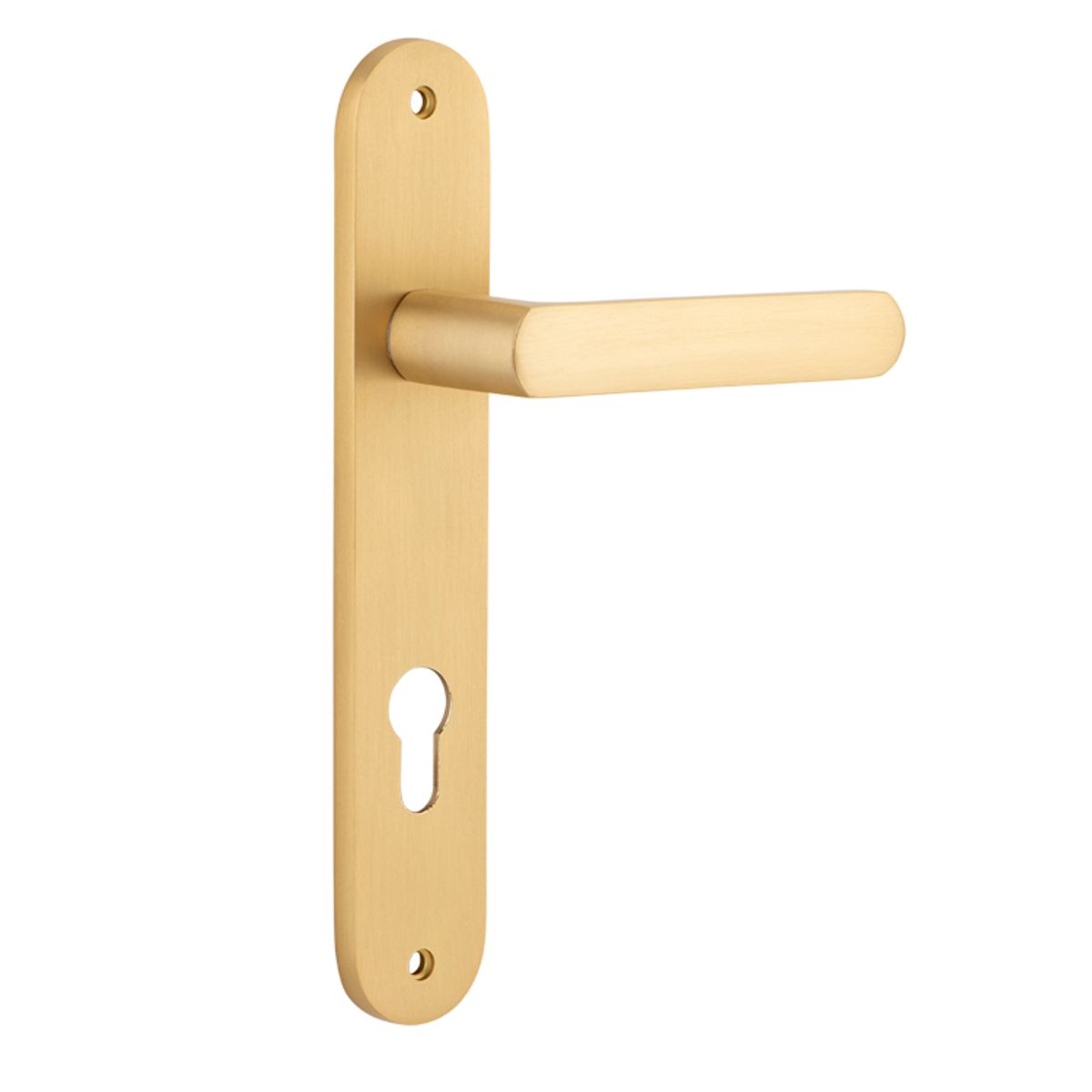 15364E85 - Osaka Lever - Oval Backplate - Brushed Brass - Entrance