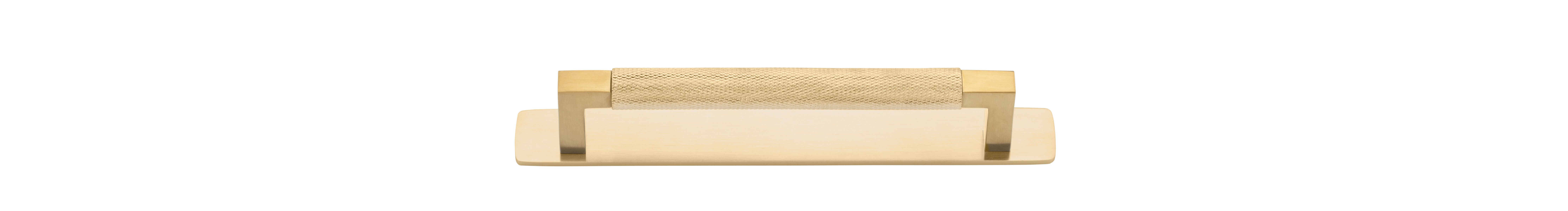 22110B - Brunswick Cabinet Pull with Backplate  - CTC160mm - Brushed Gold PVD