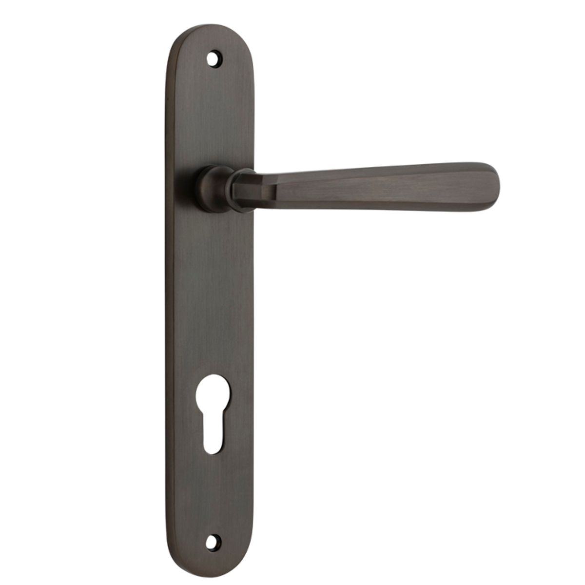 10876E85 - Copenhagen Lever - Oval Backplate - Signature Brass - Entrance