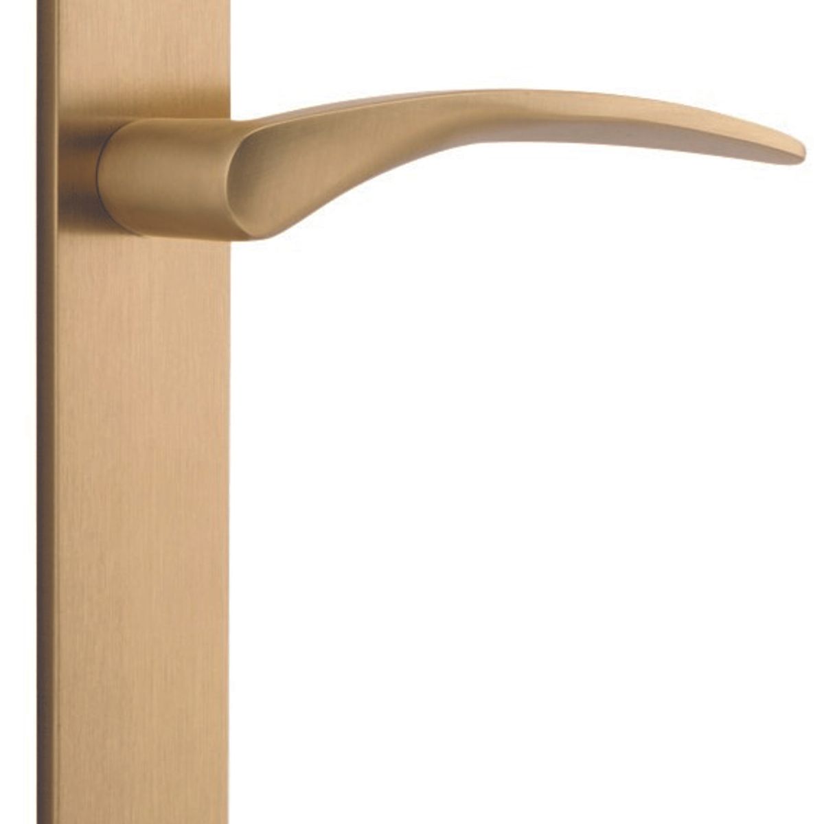 15704 - Oxford Lever - Rectangular Backplate - Brushed Brass - Passage