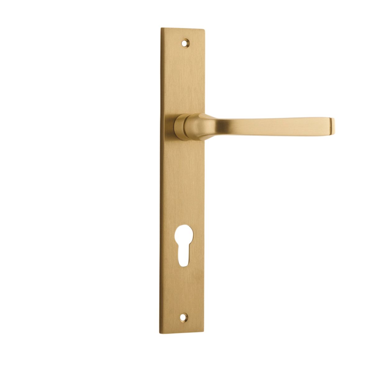 15708E85 - Annecy Lever - Rectangular Backplate - Brushed Brass - Entrance