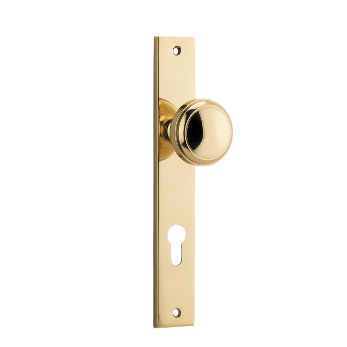 10320E85 - Paddington Knob - Rectangular Backplate - Polished Brass - Entrance