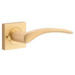 0459KIBPRIV60 - Oxford Lever - Square Rose (Inbuilt Privacy) - Brushed Brass - Privacy