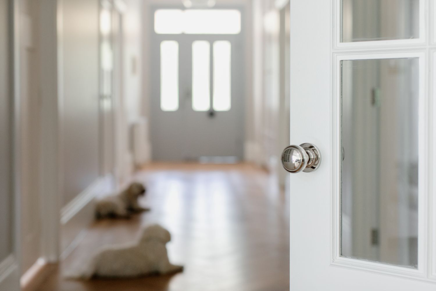 0219KENTR60KT - Paddington Knob - Round Rose Entrance Kit with Separate High Security Lock - Satin Nickel - Entrance