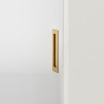 21786 - Rectangular Flush Pull - Brushed Gold PVD - Passage