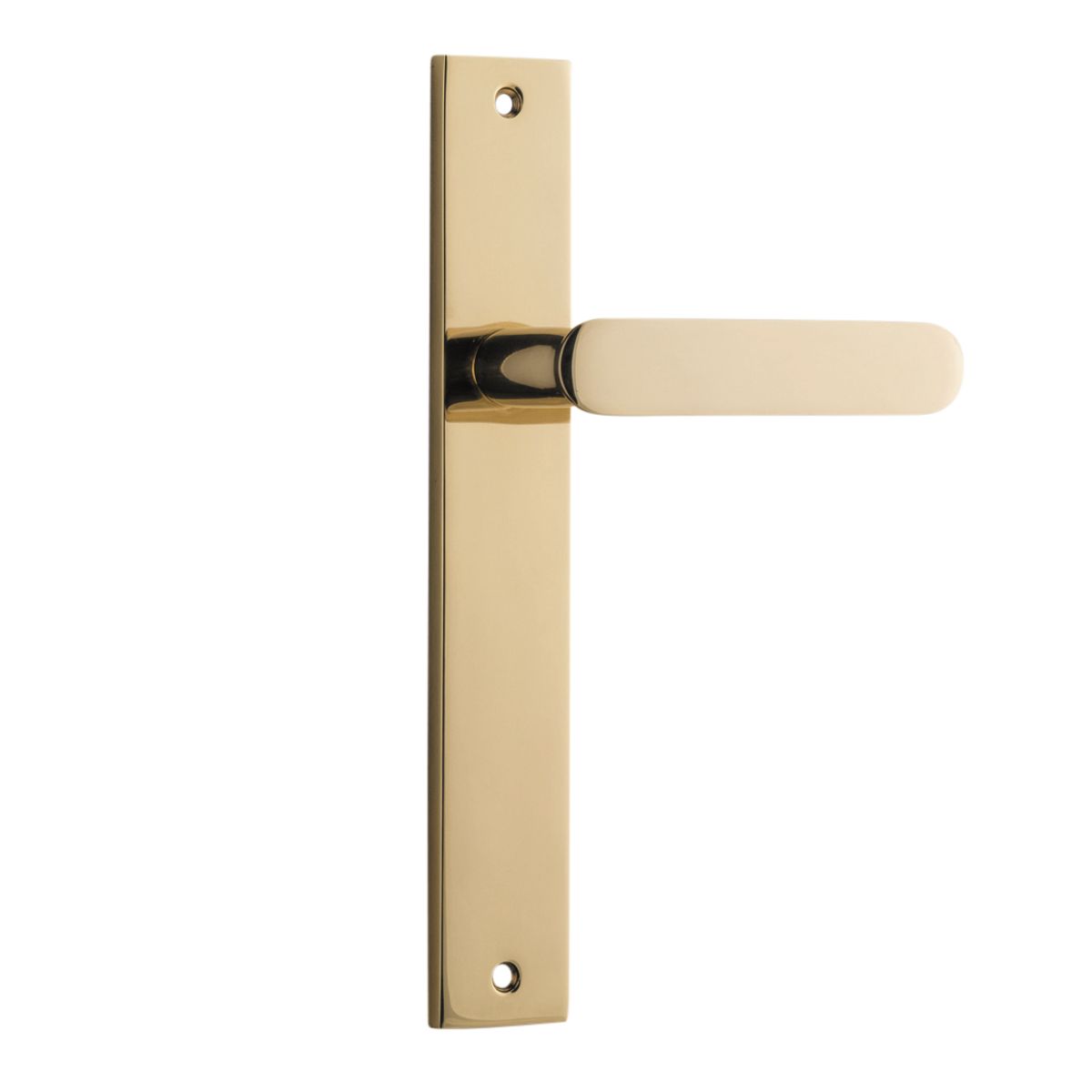 10248 - Bronte Lever - Rectangular Backplate - Polished Brass - Passage