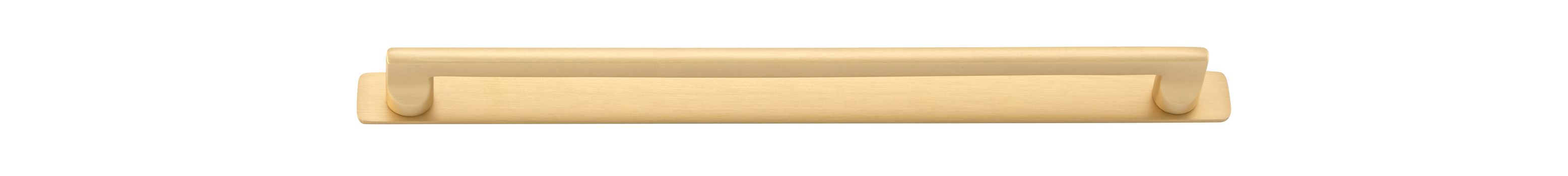Baltimore Cabinet Pull with Backplate - CTC320mm