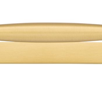 Sarlat Cabinet Pull with Backplate - CTC256mm