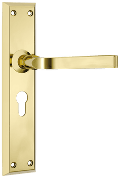 Menton Lever - Long Backplate