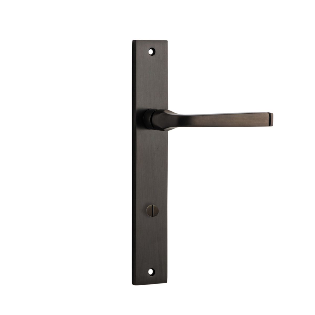 10708P85 - Annecy Lever - Rectangular Backplate - Signature Brass - Privacy