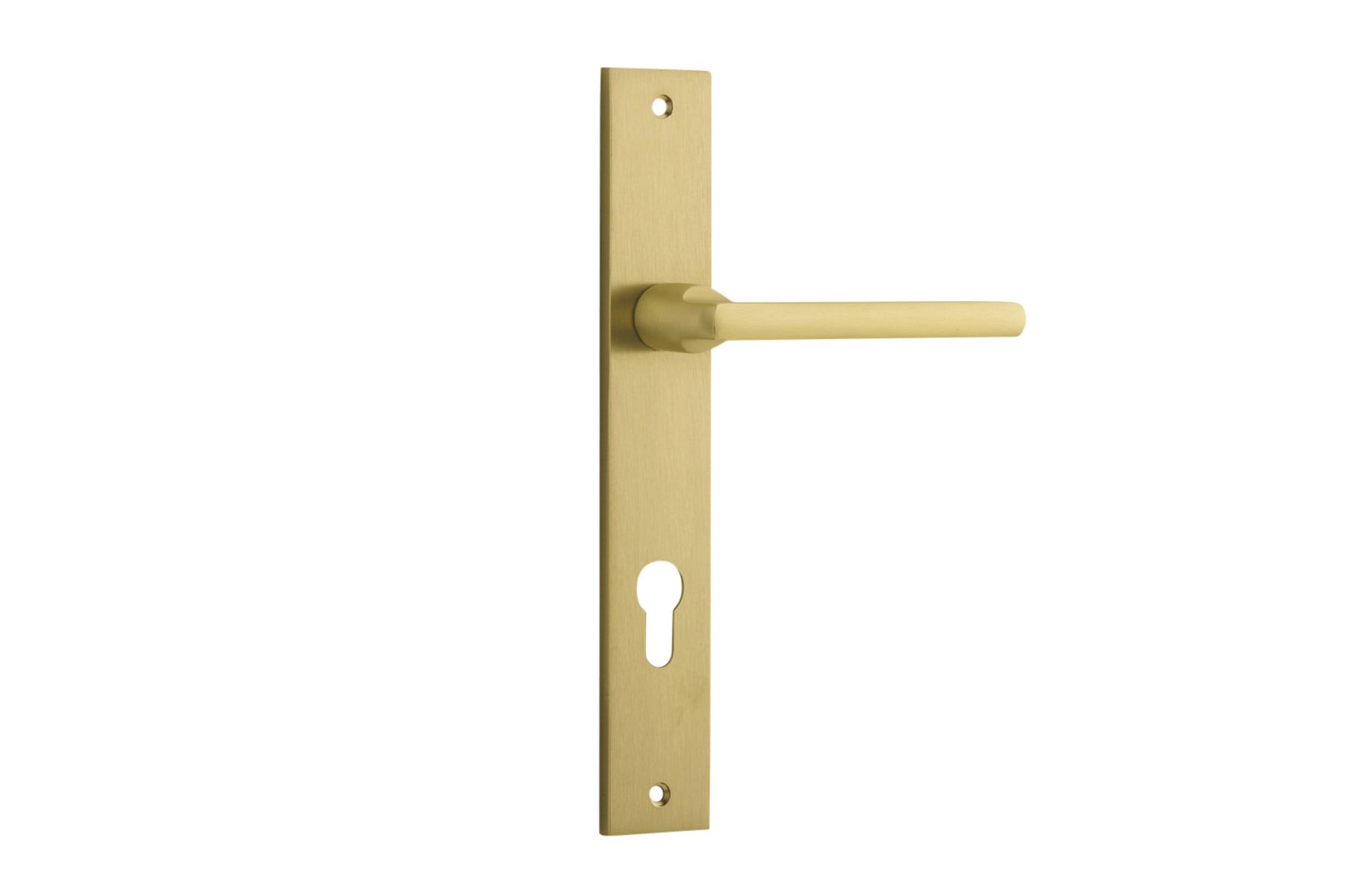 16302E85 - Baltimore Lever - Rectangular Backplate - Brushed Gold PVD - Entrance