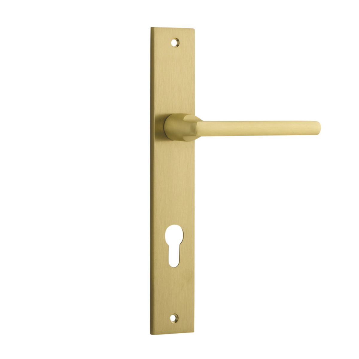 16302E85 - Baltimore Lever - Rectangular Backplate - Brushed Gold PVD - Entrance