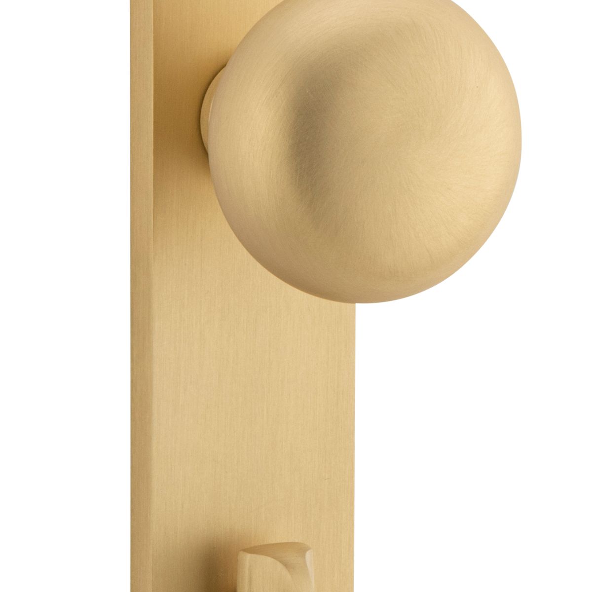 15334P85 - Cambridge Knob - Oval Backplate - Brushed Brass - Privacy