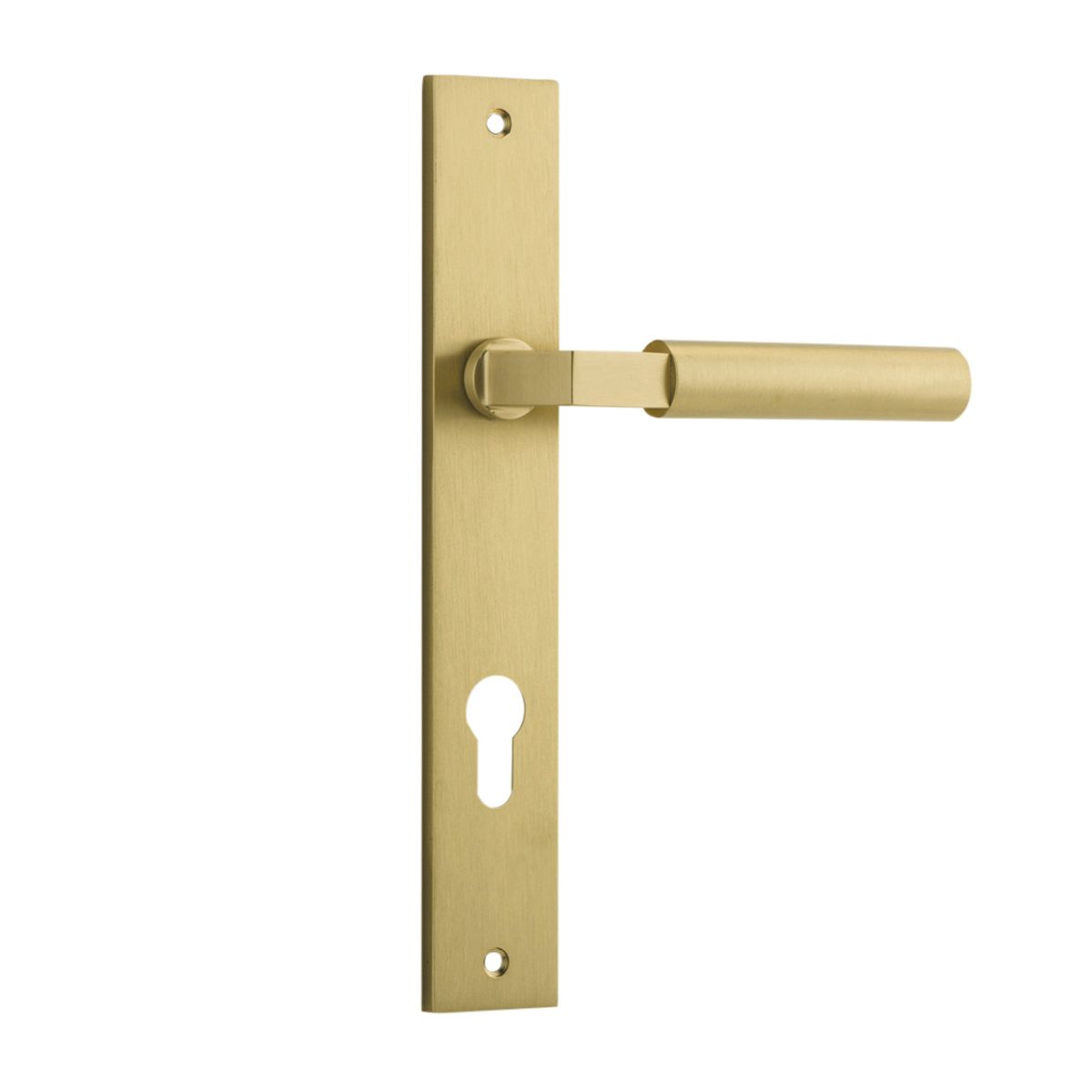 16350E85 - Berlin Lever - Rectangular Backplate - Brushed Gold PVD - Entrance