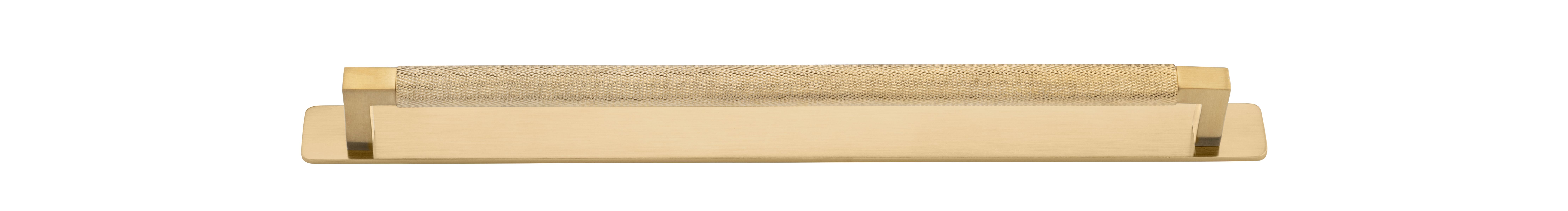 22130B - Brunswick Cabinet Pull with Backplate  - CTC320mm - Brushed Gold PVD