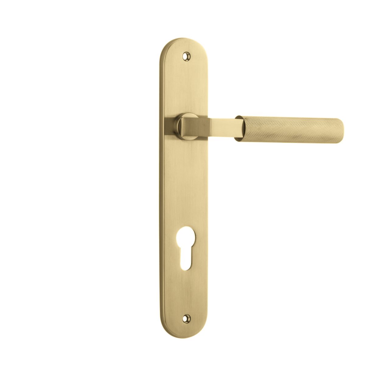 16268E85 - Brunswick Lever - Oval Backplate - Brushed Gold PVD - Entrance