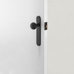 12836 - Guildford Knob - Oval Backplate - Matt Black - Passage