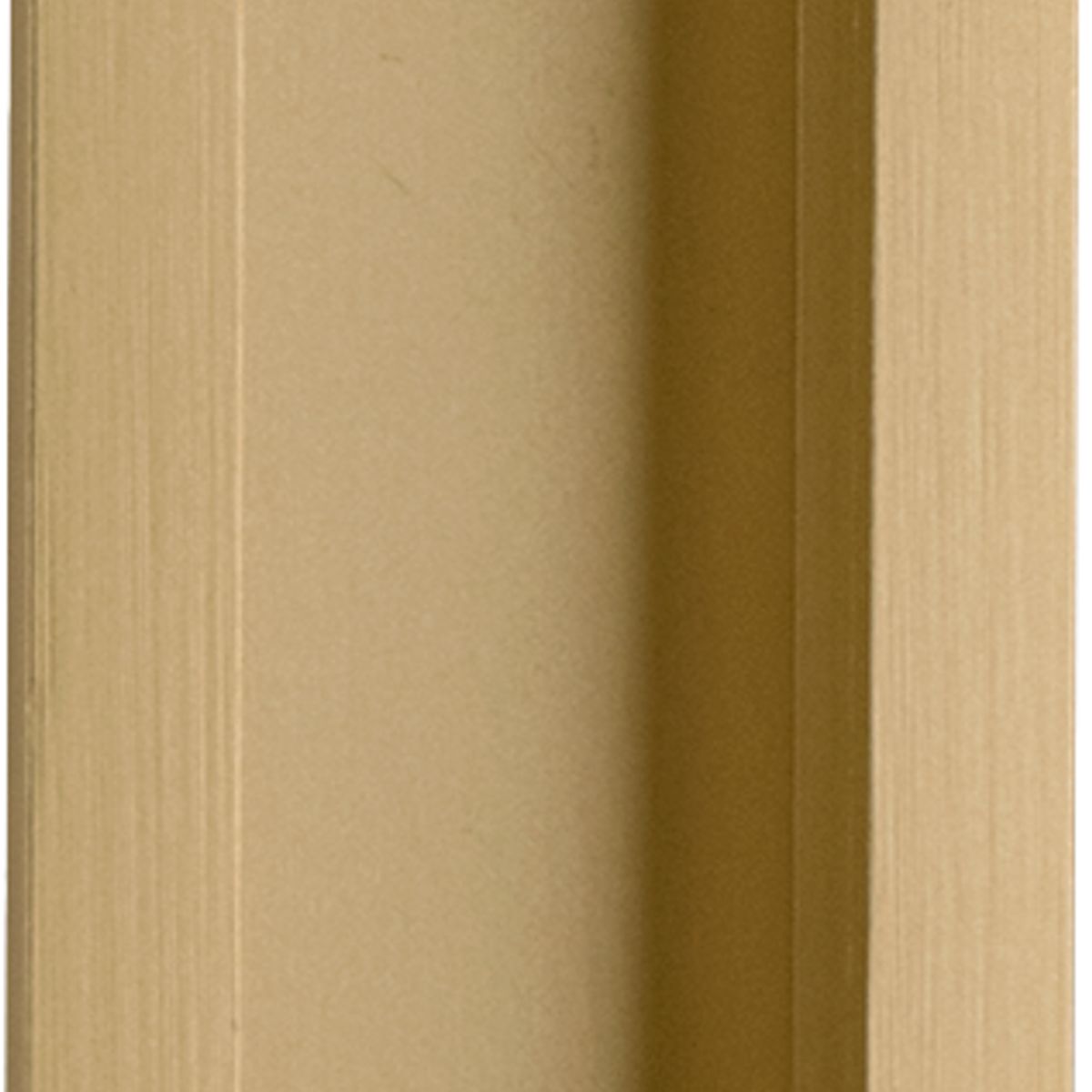 21782 - Rectangular Flush Pull - Brushed Brass - Passage