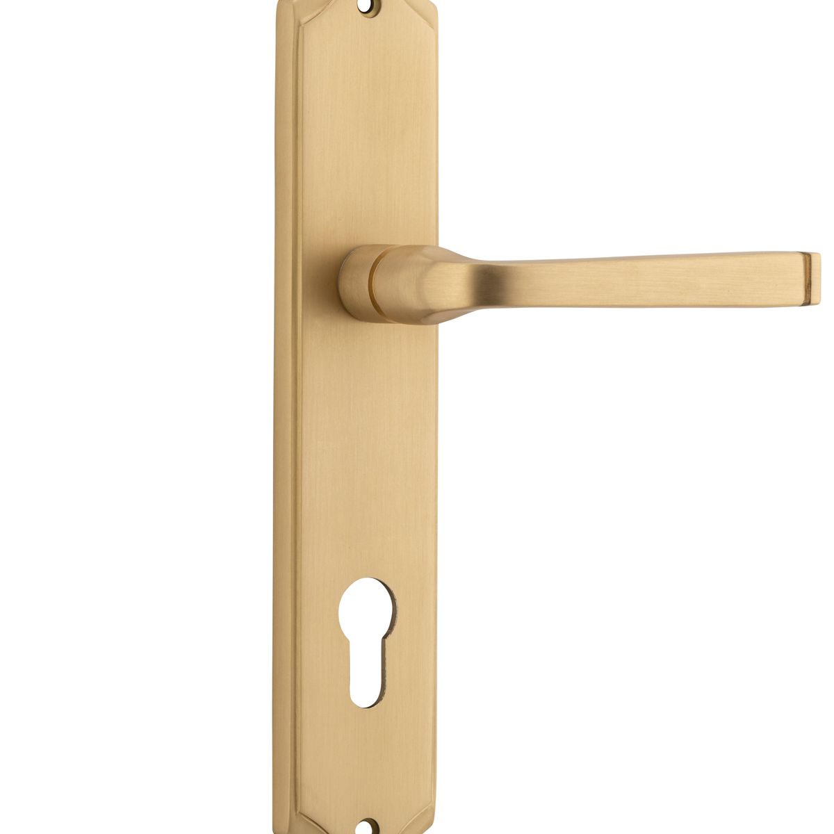 15220E85 - Annecy Lever - Shouldered Backplate - Brushed Brass - Entrance
