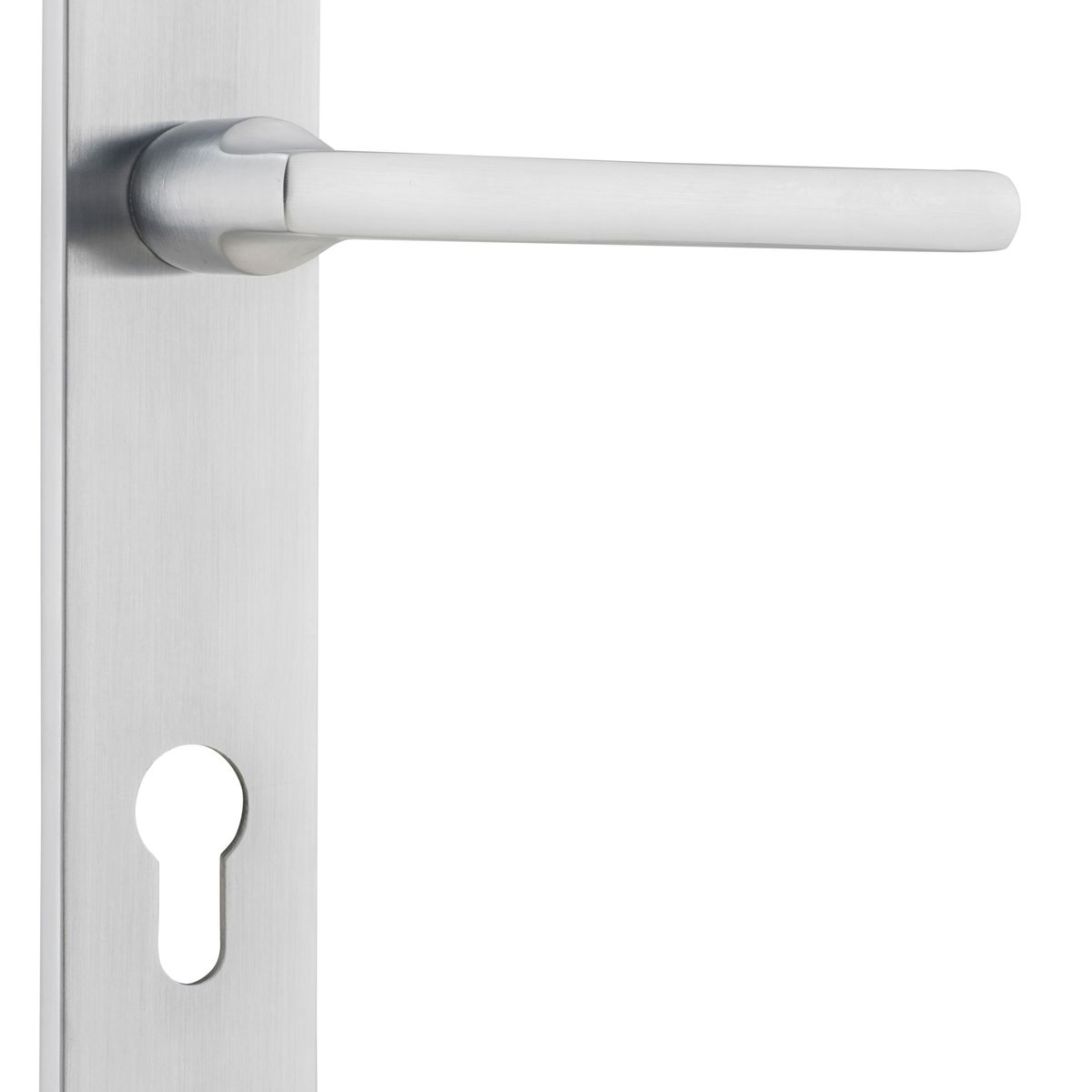 12226E85 - Baltimore Lever - Oval Backplate - Brushed Chrome - Entrance