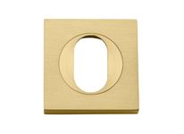 17131 - Oval Escutcheon - Square - Brushed Gold PVD