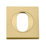 17131 - Oval Escutcheon - Square - Brushed Gold PVD