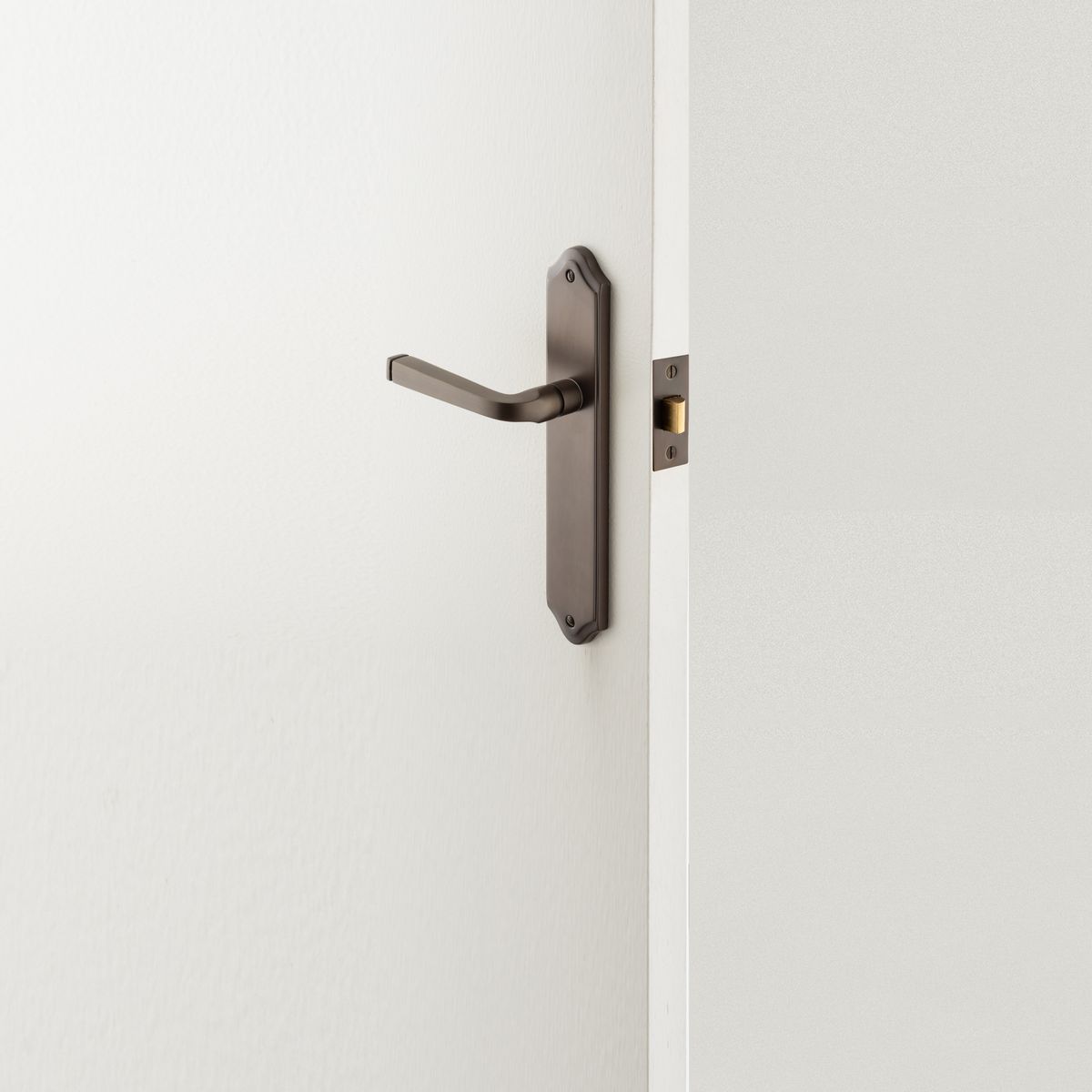 10720 - Annecy Lever - Shouldered Backplate - Signature Brass - Passage