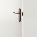 10720 - Annecy Lever - Shouldered Backplate - Signature Brass - Passage
