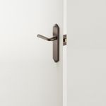 10720 - Annecy Lever - Shouldered Backplate - Signature Brass - Passage