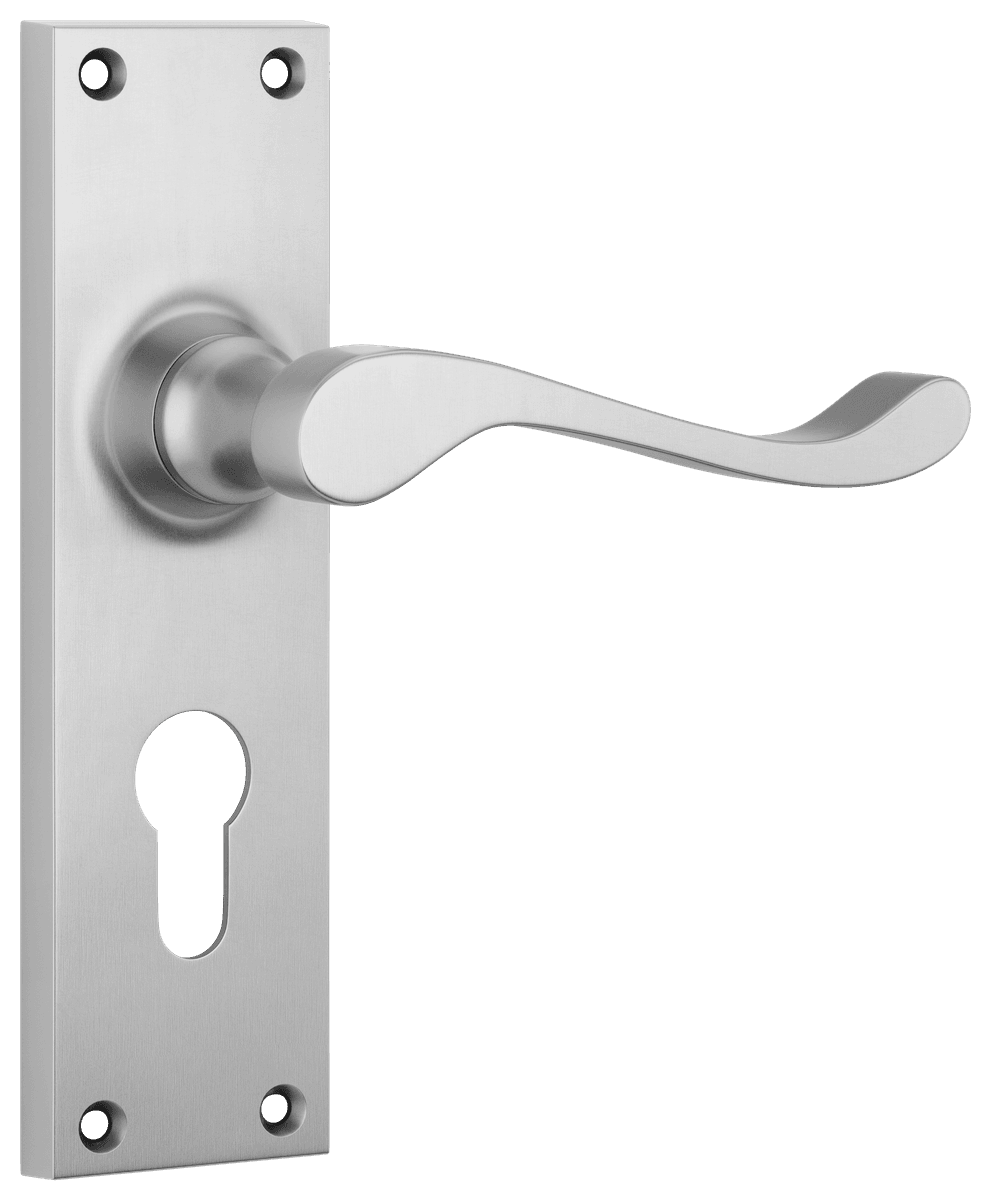 Victorian Lever - Long Backplate