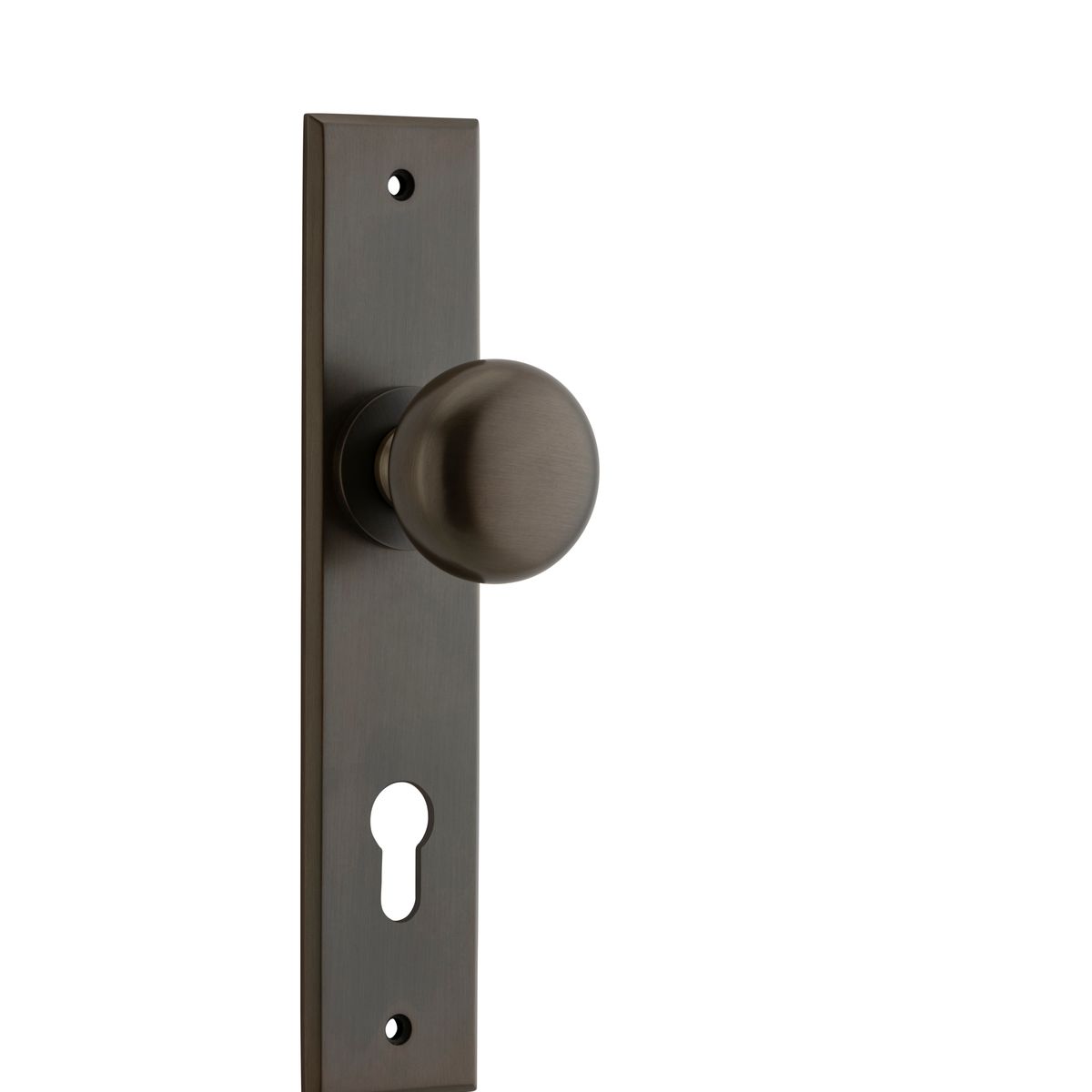 10946E85 - Cambridge Knob - Chamfered Backplate - Signature Brass - Entrance