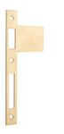 20120 - Extended 85mm Strikers - H198xW85mm - Polished Brass