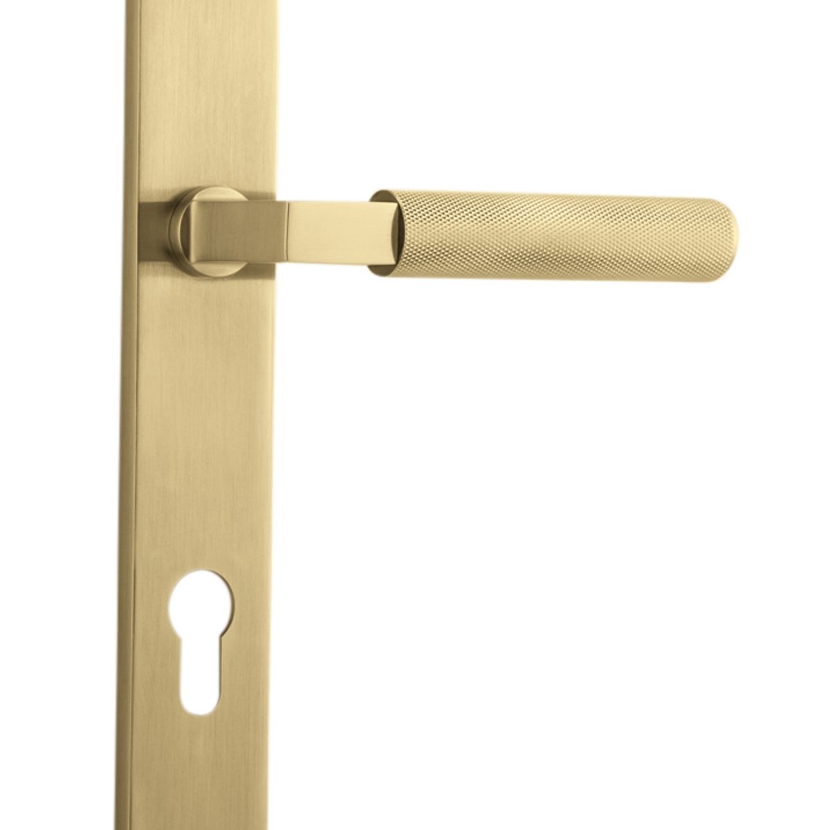 16252E85 - Brunswick Lever - Rectangular Backplate - Brushed Gold PVD - Entrance