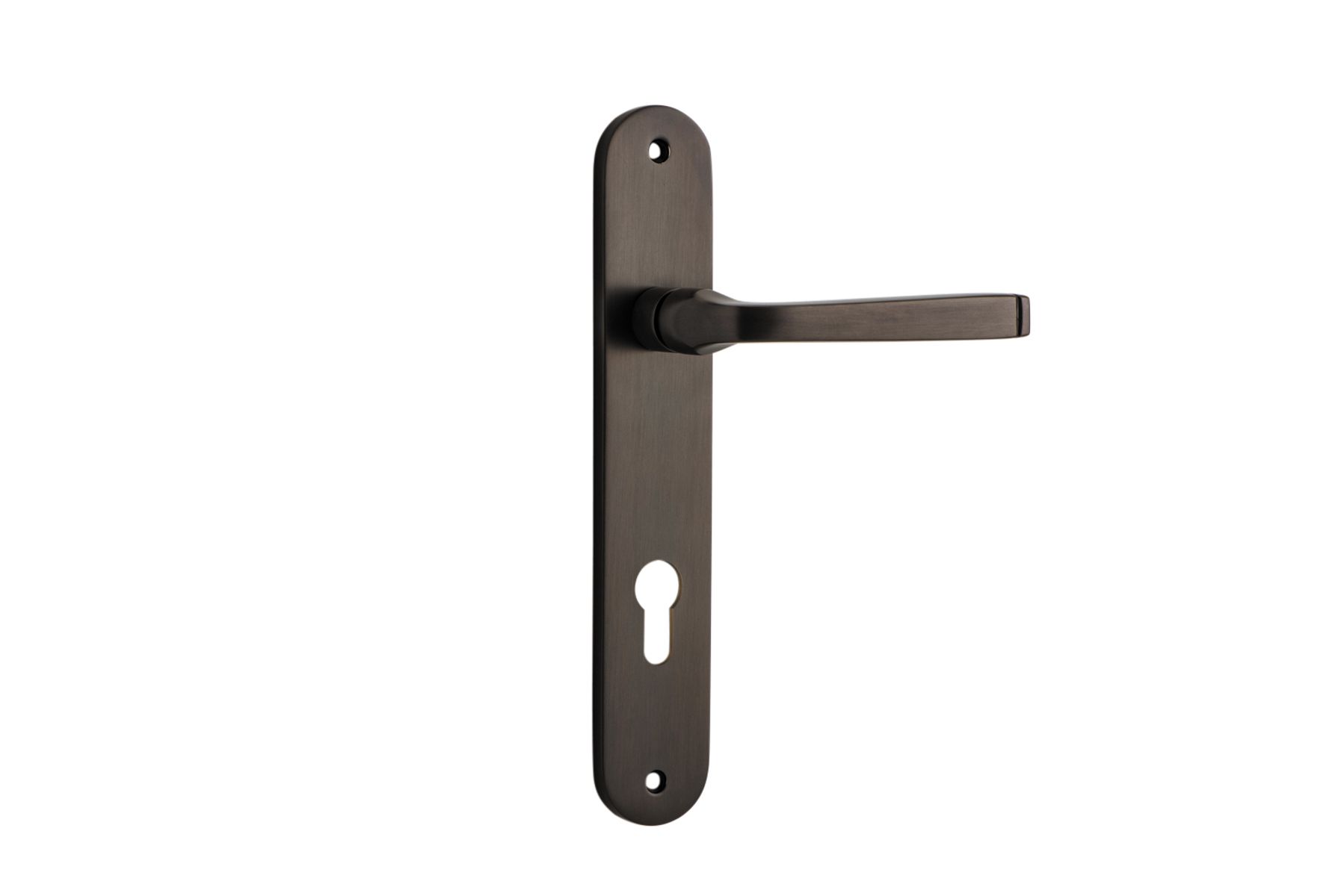 10732E85 - Annecy Lever - Oval Backplate - Signature Brass - Entrance