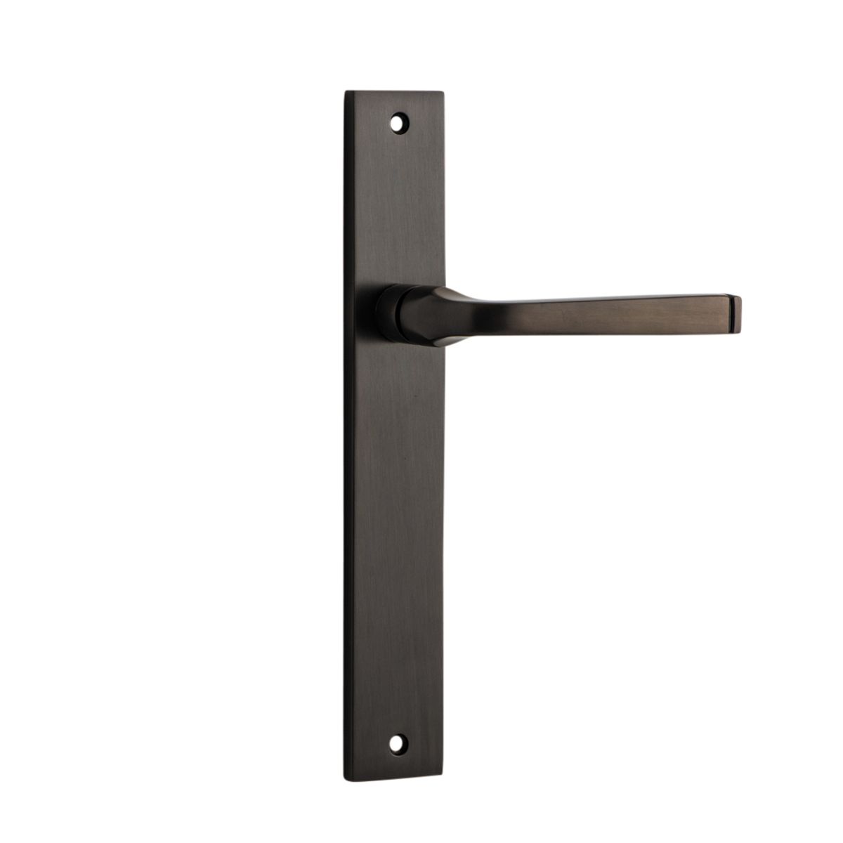 10708 - Annecy Lever - Rectangular Backplate - Signature Brass - Passage