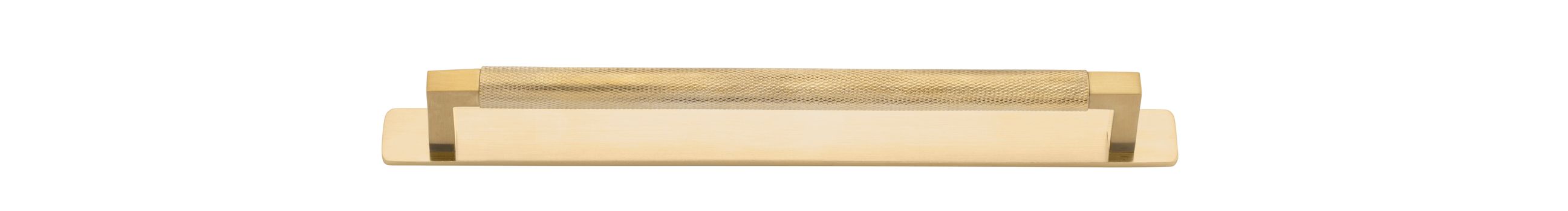 Brunswick Cabinet Pull with Backplate  - CTC256mm