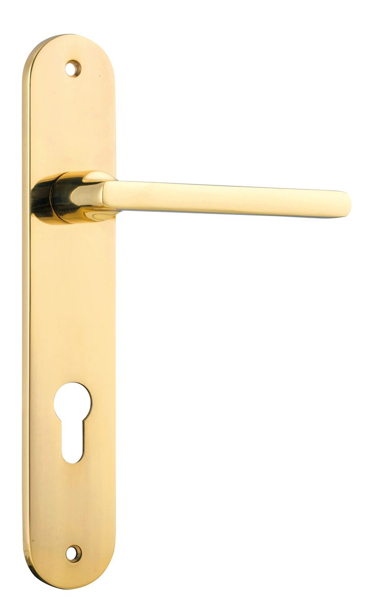 10226E85 - Baltimore Lever - Oval Backplate - Polished Brass - Entrance