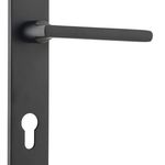 Baltimore Lever - Oval Backplate