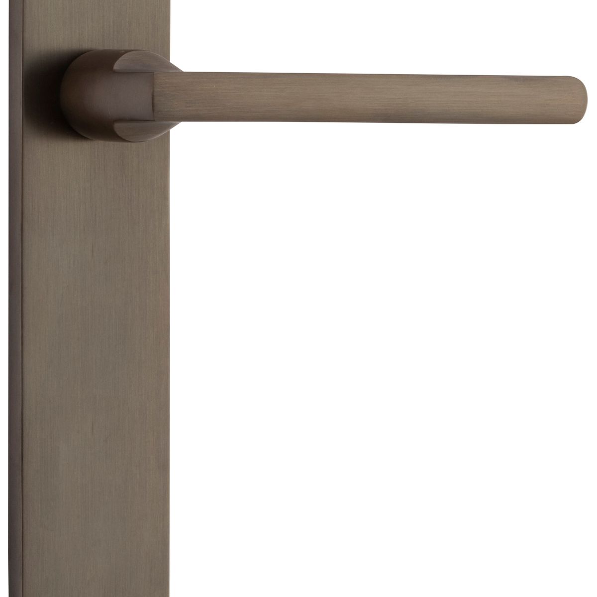 10726 - Baltimore Lever - Oval Backplate - Signature Brass - Passage