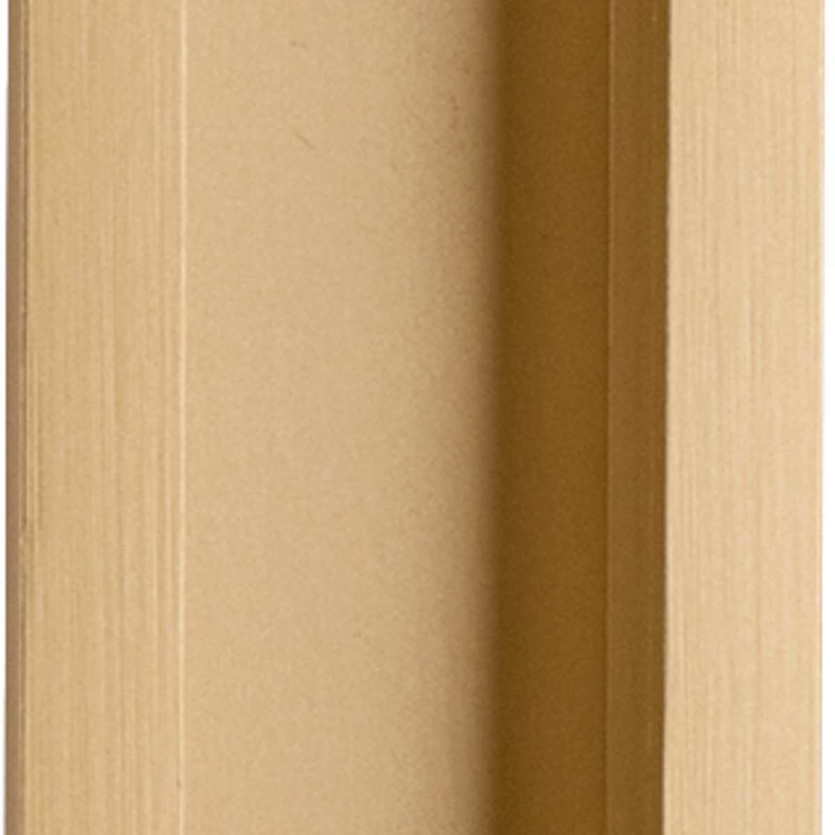 21786 - Rectangular Flush Pull - Brushed Gold PVD - Passage