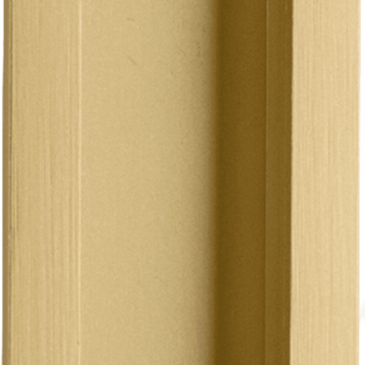 21786 - Rectangular Flush Pull - Brushed Gold PVD - Passage