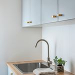 0591 - Berlin Cupboard Knob P28xD20mm - Polished Brass